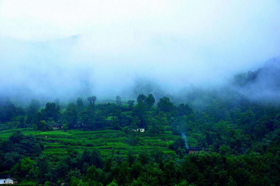 DSC_0055.jpg