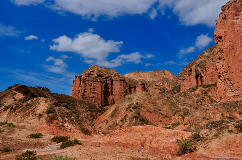 DSC_0216.jpg
