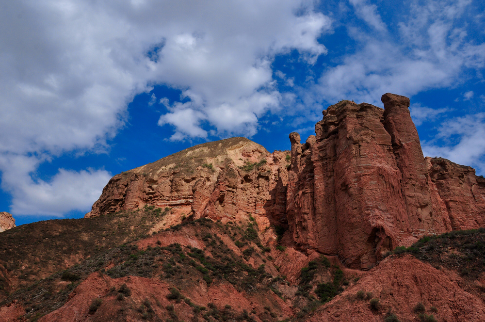 DSC_0205.jpg