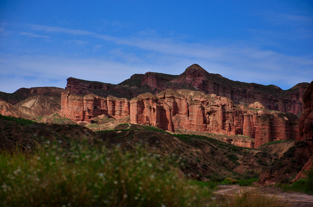 DSC_0198.jpg