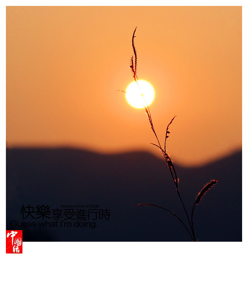 IMG_3544_副本.jpg