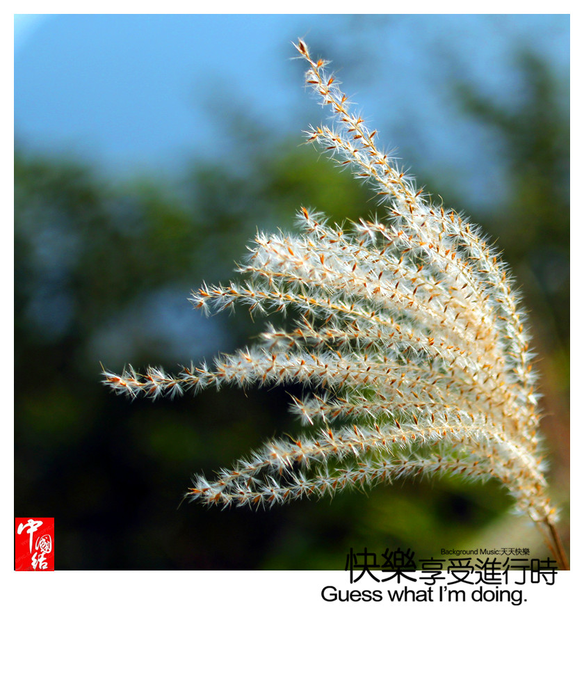 IMG_3283_副本.jpg