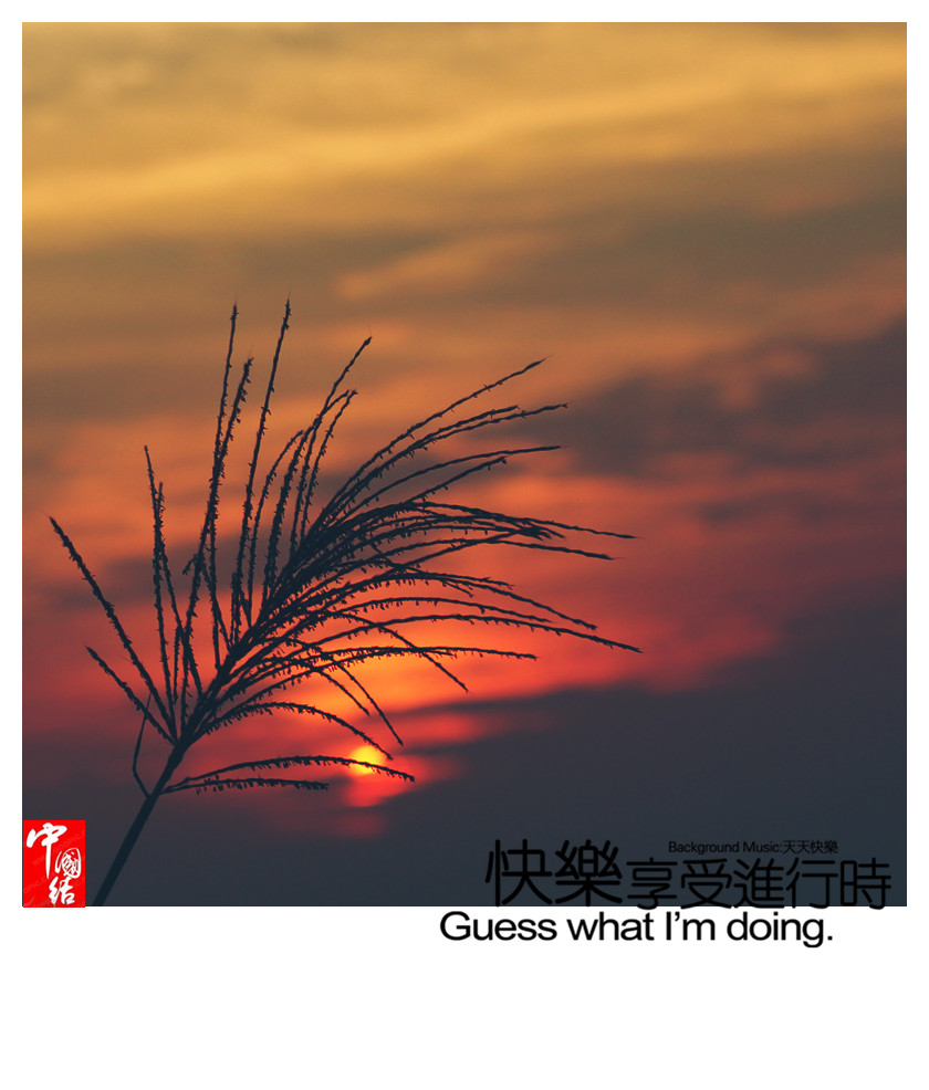 IMG_3417_副本.jpg