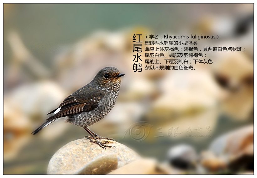 114_66019_0f570fbce3ebaa5.jpg
