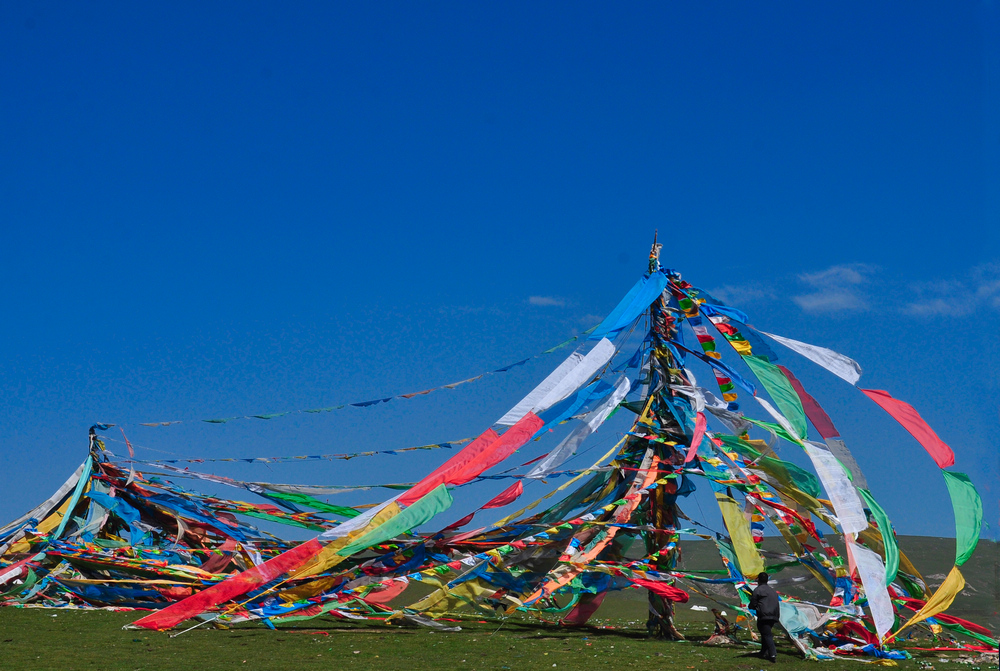 DSC_0145.jpg