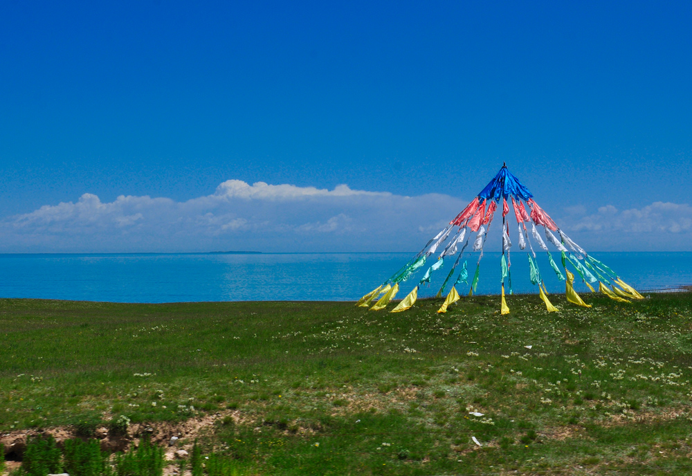 DSC_0175.jpg
