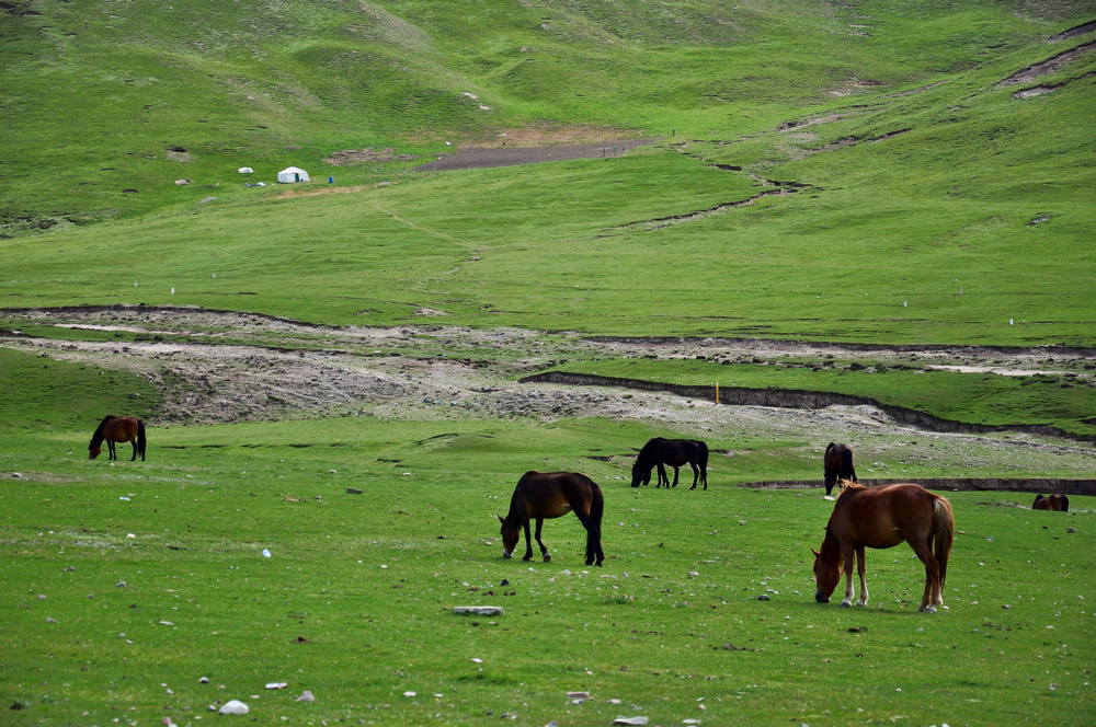 DSC_0082.jpg