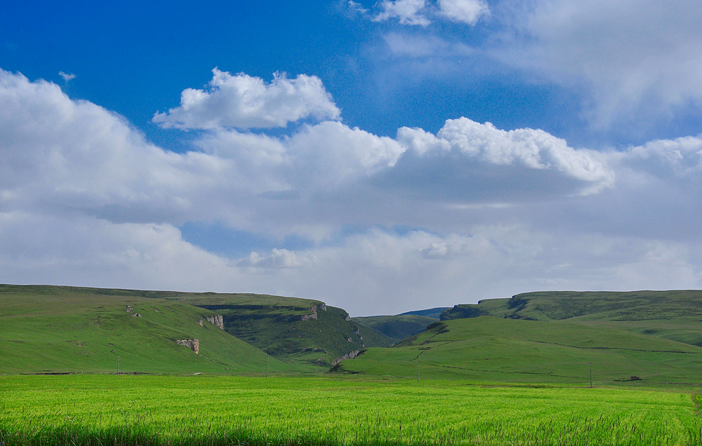 DSC_0358.jpg