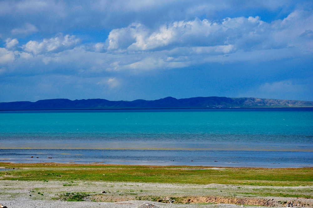 DSC_0374.jpg