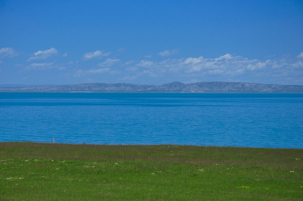DSC_0177.jpg