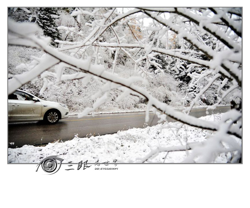 DSC_6582s_副本.jpg