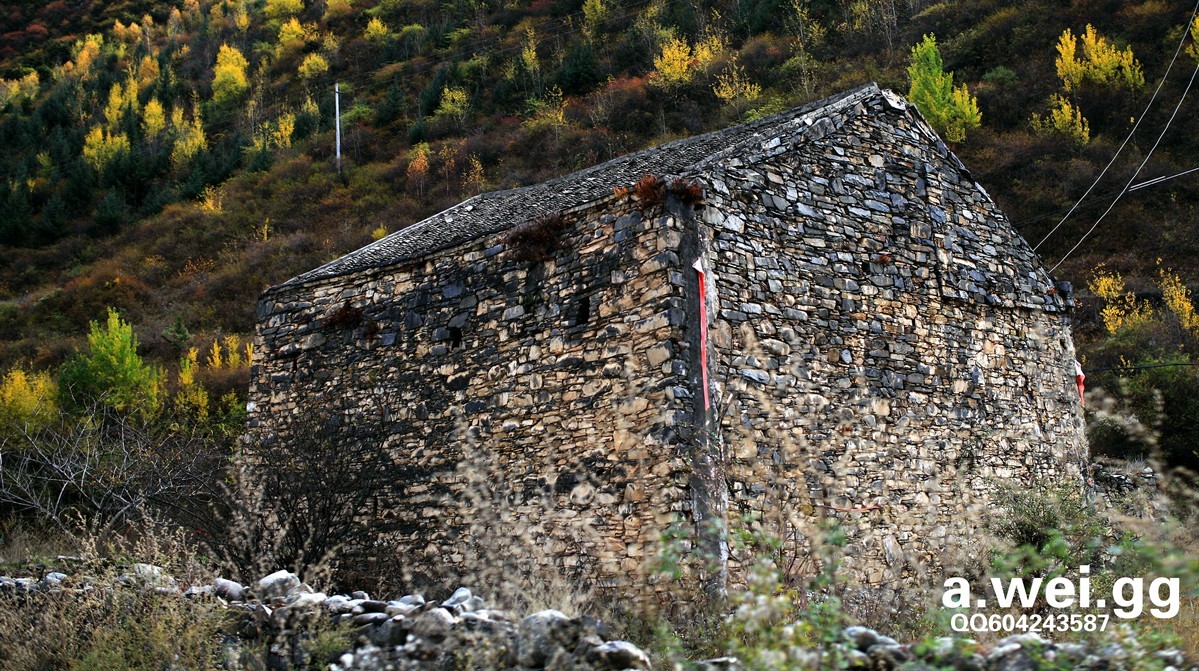77.jpg