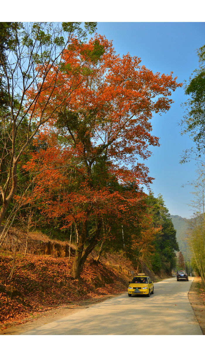 XWY_2287.jpg