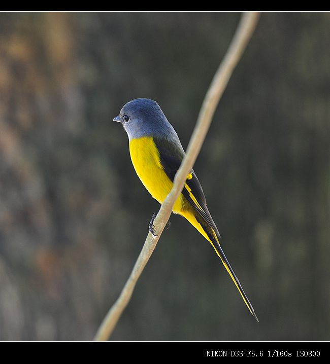 DSC_9714.JPG