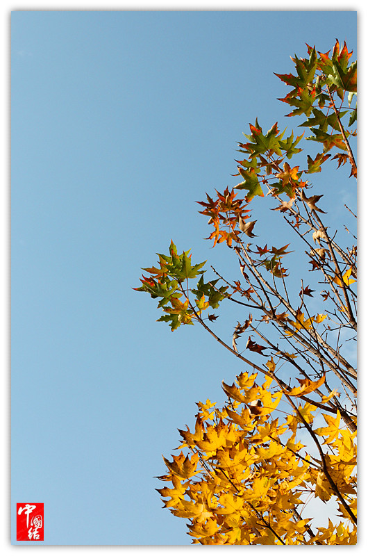 IMG_5995_副本.jpg