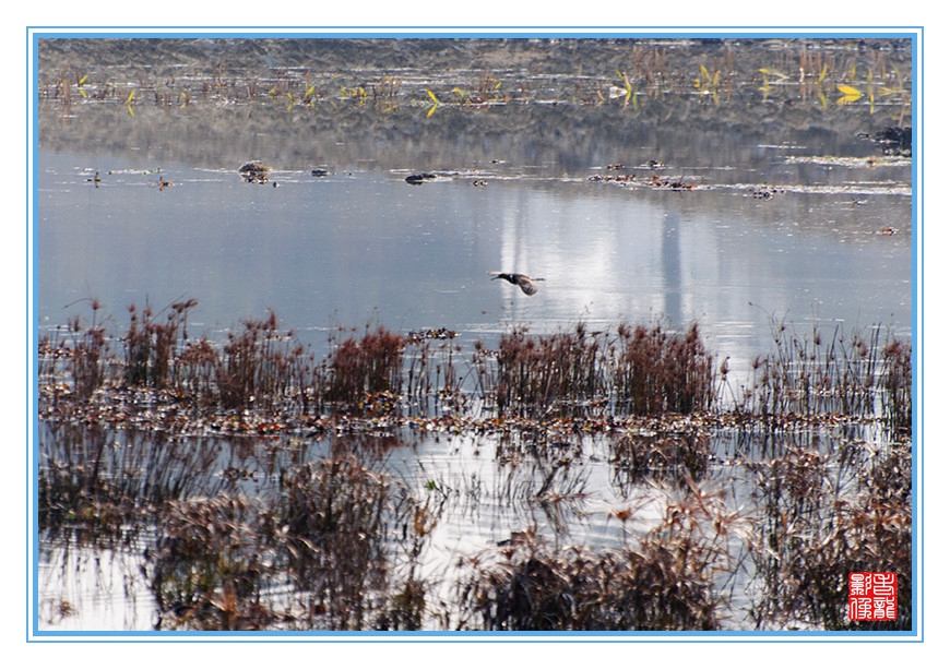 DSC_0057.jpg