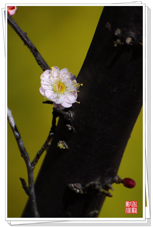 DSC_0033_副本.jpg