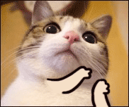 QQ图片20131005113551.gif
