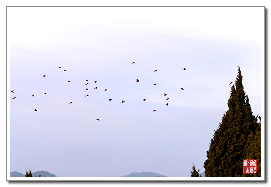 DSC_0476.jpg