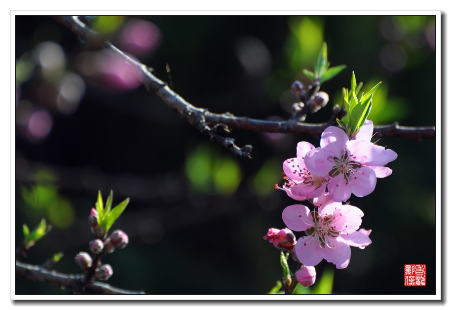 DSC_0105_副本.jpg