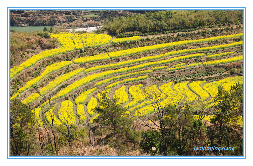DSC_2503_副本.jpg