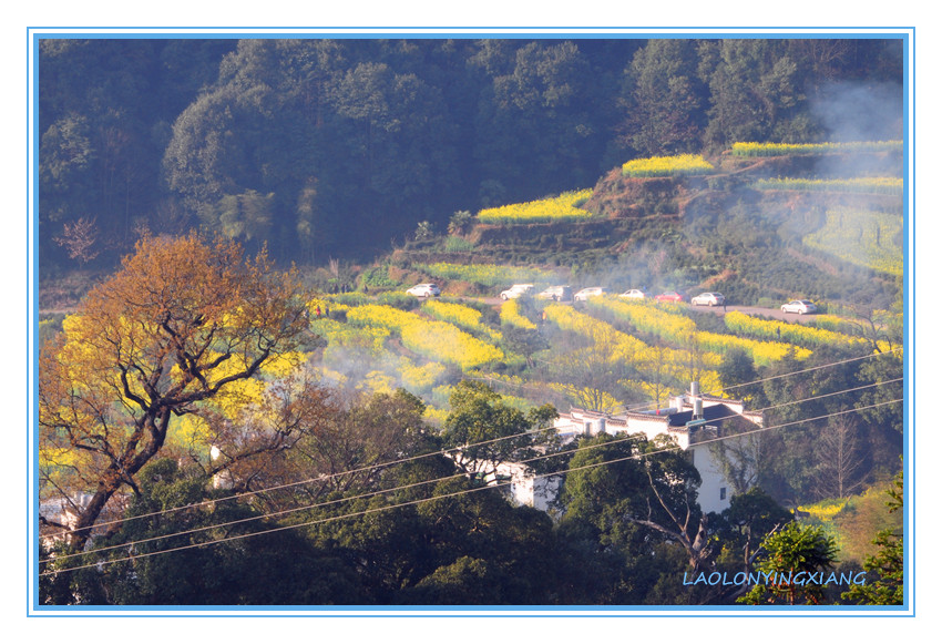 DSC_2265_副本.jpg