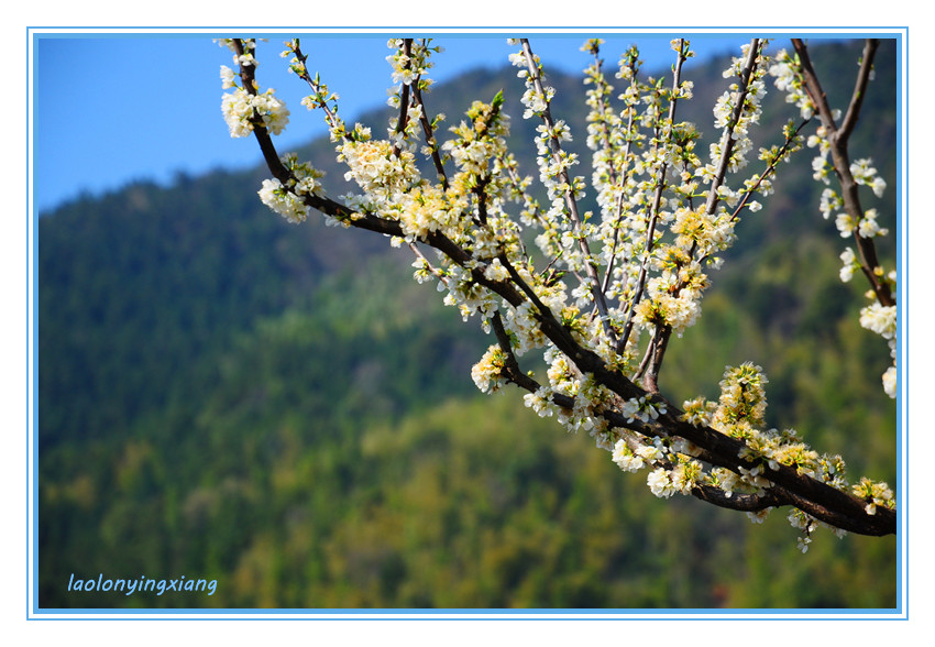 DSC_2424_副本.jpg