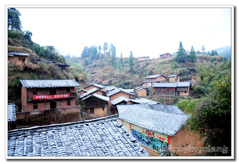 DSC_0350_副本.jpg