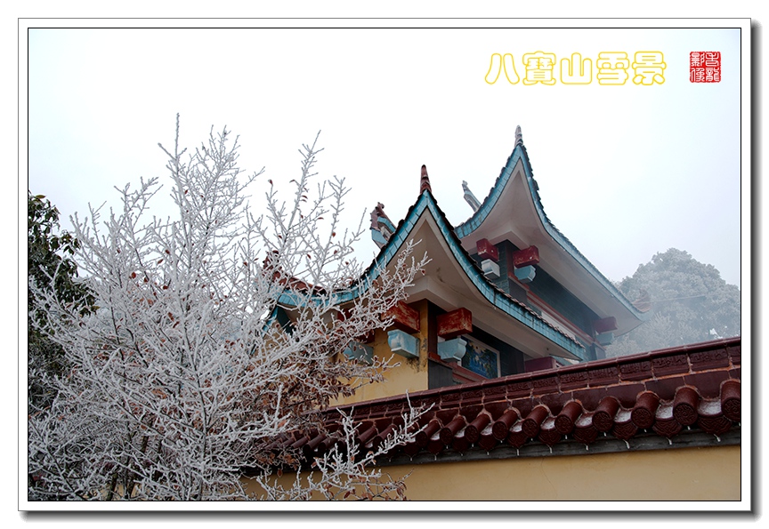 DSC_0223_副本.jpg