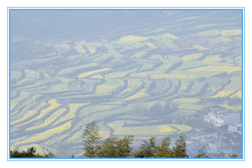 DSC_2308_副本.jpg