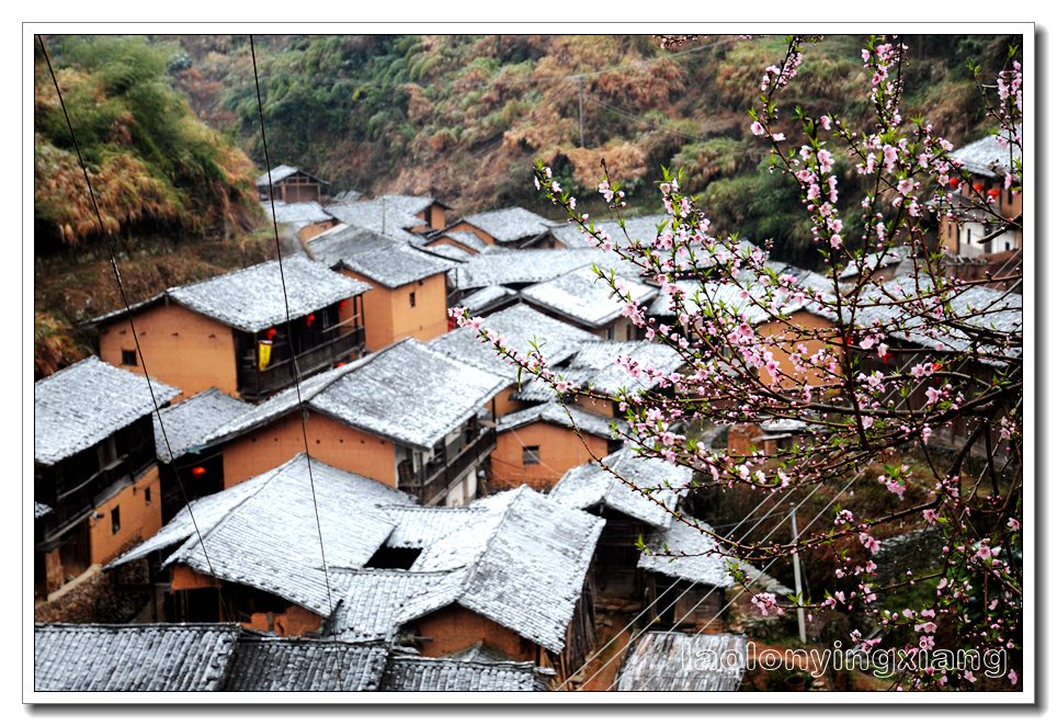 DSC_0354_副本.jpg