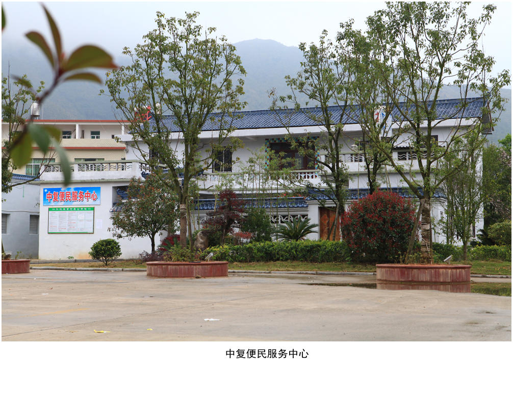 IMG_4435_副本.jpg