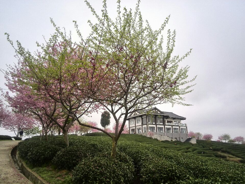 image_1.jpg