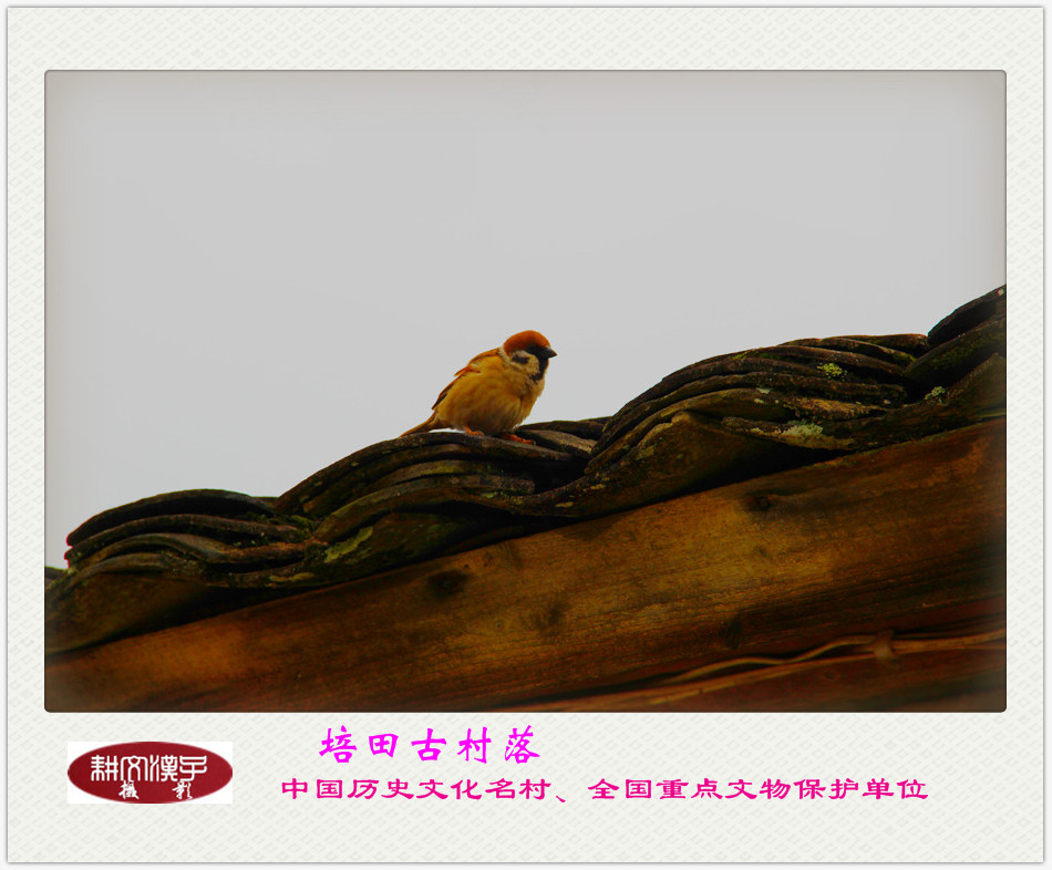 IMG_1092_副本.jpg