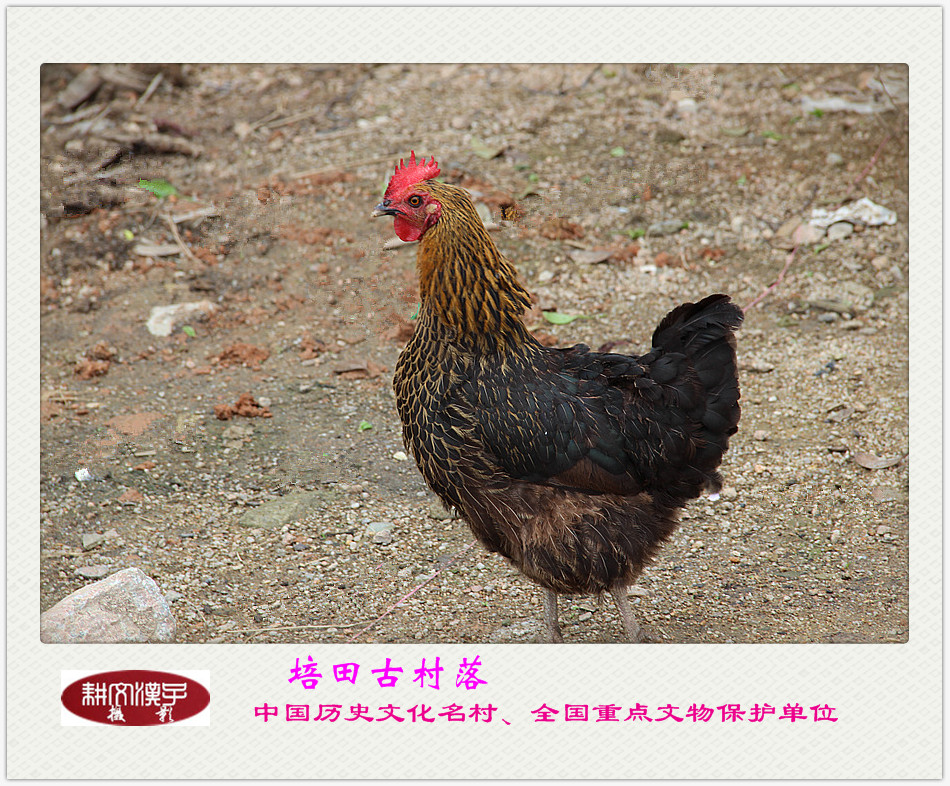 IMG_1091_副本.jpg