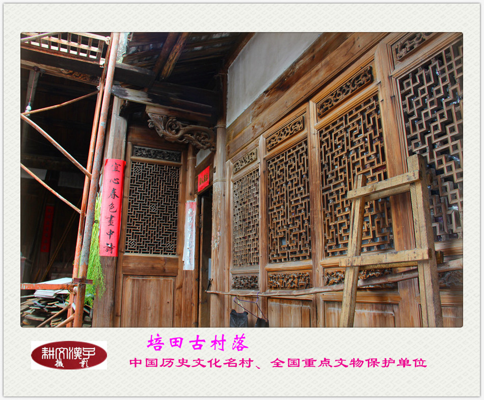 IMG_1100_副本.jpg