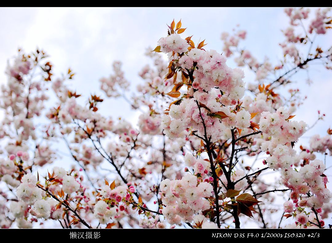 DSC_0898.JPG