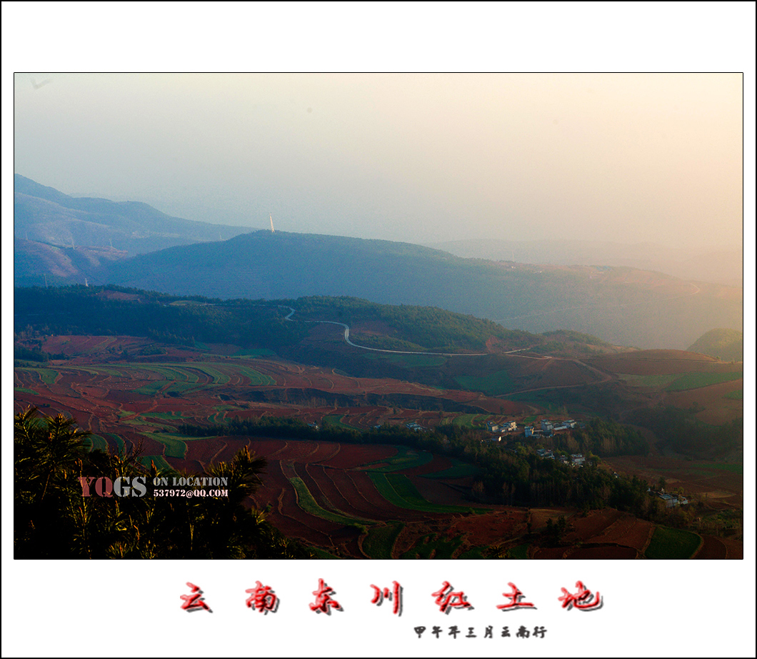 _MG_8016.jpg
