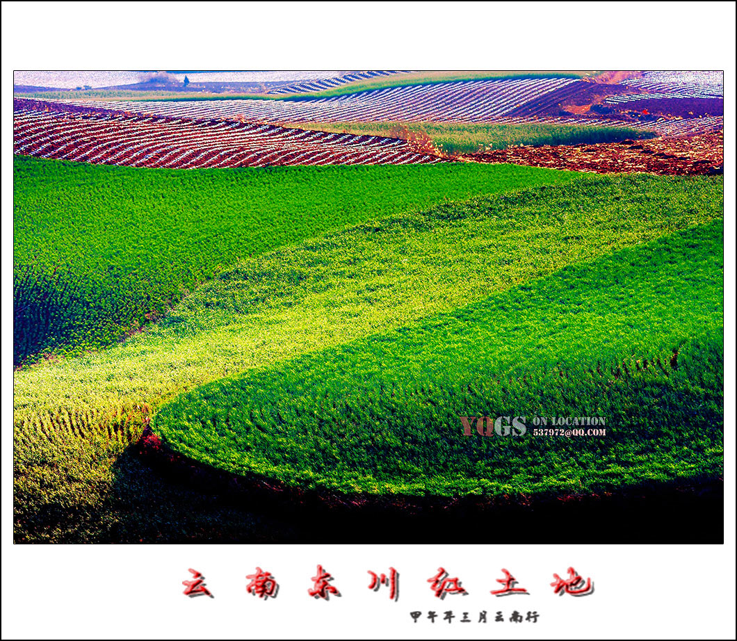 20140315-_MG_1304.jpg