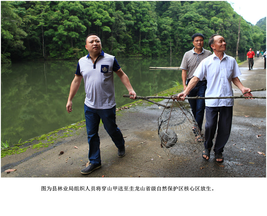 IMG_2727—副本.jpg