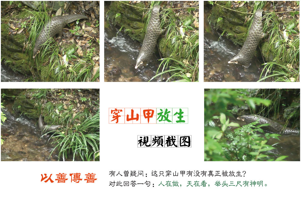 以善传善—副本.jpg