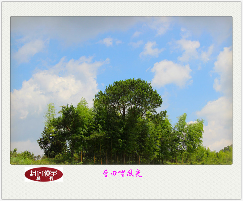 IMG_2497_副本_副本.jpg