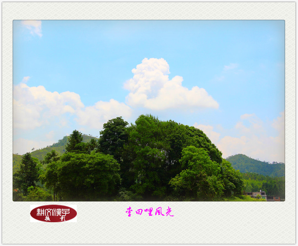 IMG_2508_副本_副本.jpg