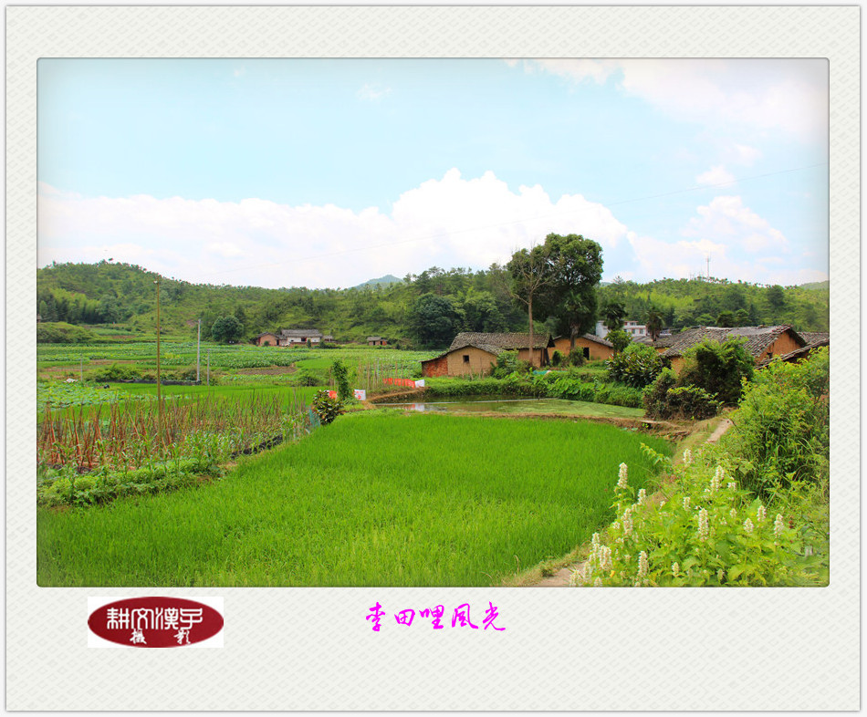 IMG_2505_副本_副本.jpg