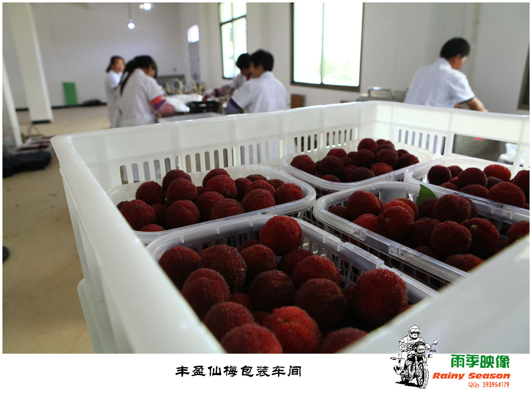 IMG_5576—副本.jpg
