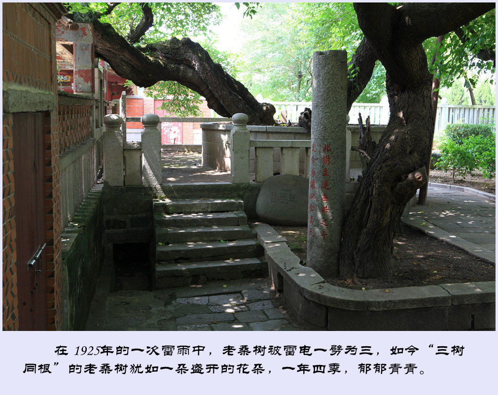 IMG_6917_副本.jpg
