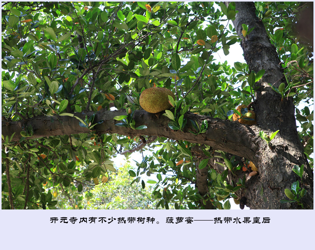 IMG_6878_副本.jpg