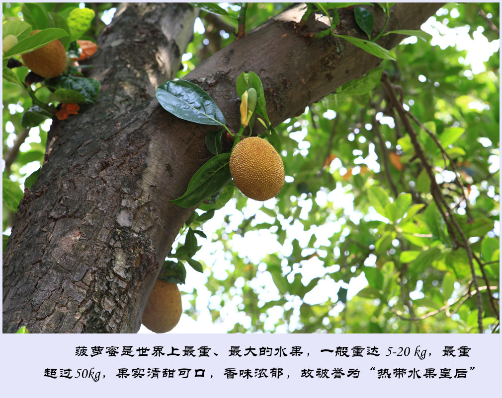 IMG_6883_副本.jpg