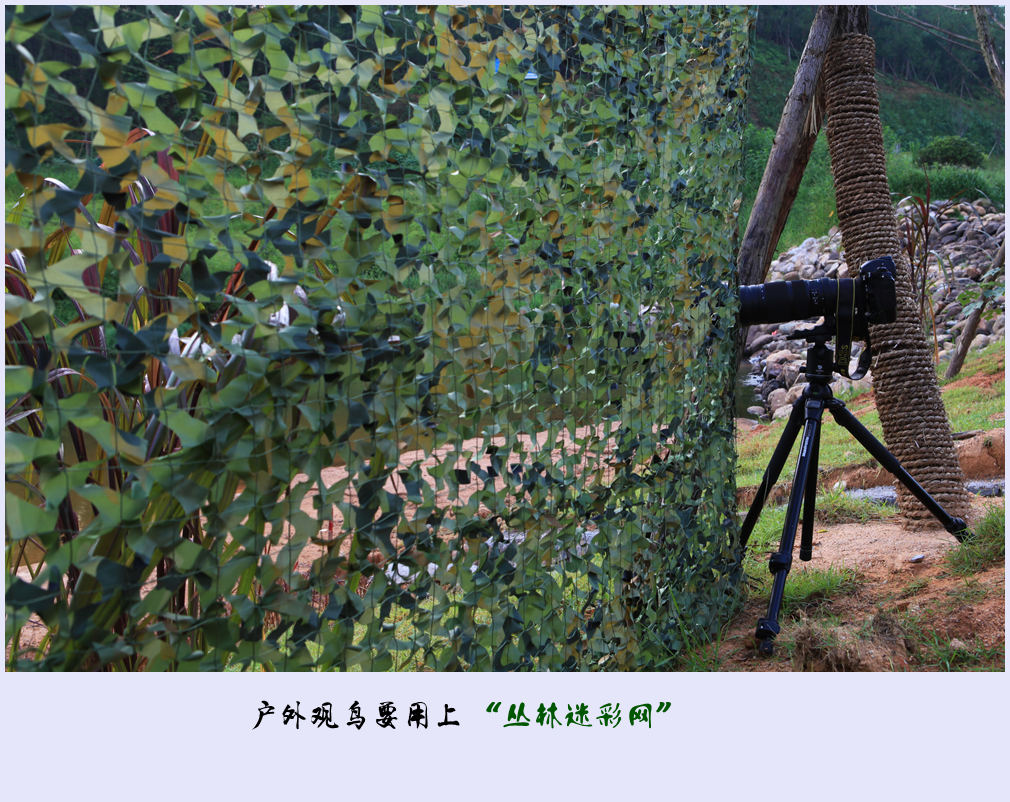 IMG_8341_副本.jpg