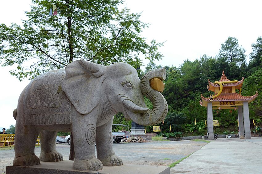 image_1.jpg